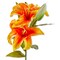 Soft Touch Faux Lily Stem - Orange Artificial Flower Stem for Everyday Decor, 23" Tall, Easy Care